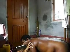 প্যান্টিহস