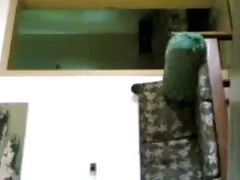 মেয়েদের হস্তমৈথুন বাংলাদেশী নায়িকাদের সেক্স স্বামী ও স্ত্রী পর্নোতারকা