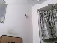 বড়ো মাই, মেয়েদের বাংলাদেশী সেক্স ভিডিও হস্তমৈথুন