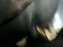 মেয়ে বাংলাদেশী মেয়েদের সেক্স সমকামী