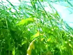 লিঙ্গ বাংলাদেশী কলেজ গার্ল সেক্স ভিডিও