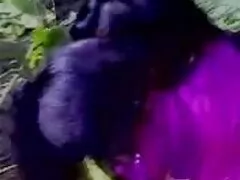 জার্মান বাংলাদেশী নায়িকাদের সেক্স ভিডিও